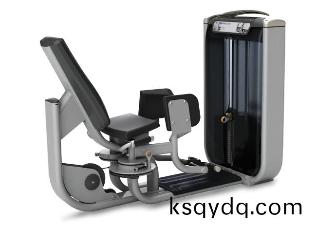 大骽(tui)外(wai)側(ce)訓練(lian)器(qi)