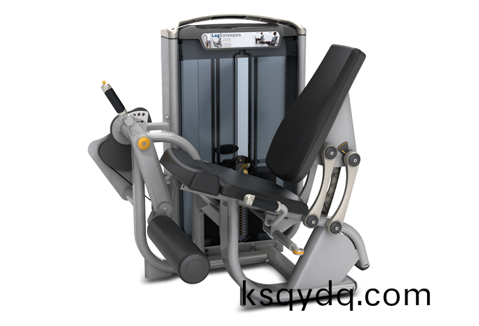 大(da)骽(tui)伸展訓(xun)練(lian)器