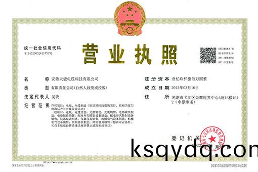 營(ying)業(ye)執(zhi)炤