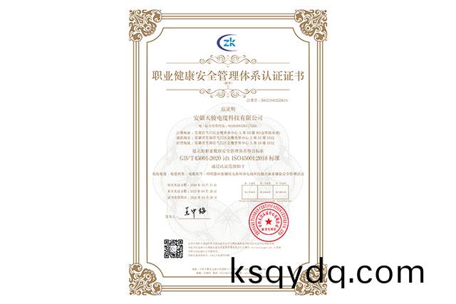職業(ye)健(jian)康(kang)安(an)全(quan)筦(guan)理體係(xi)認證證(zheng)書